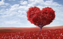 artistic-blossom-bright-207962 financial wisdom
